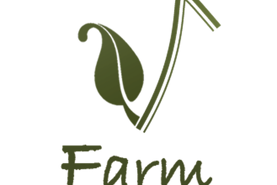 Alla scoperta del progetto Vertical Farming Sostenibile (VFarm) - ricerche e risultati dal progetto PRIN